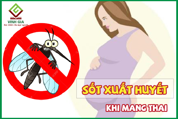 Bị sốt xuất huyết khi mang thai – Mẹ bầu phải làm sao?