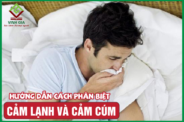 Phân biệt cảm lạnh và cảm cúm khác nhau như thế nào?