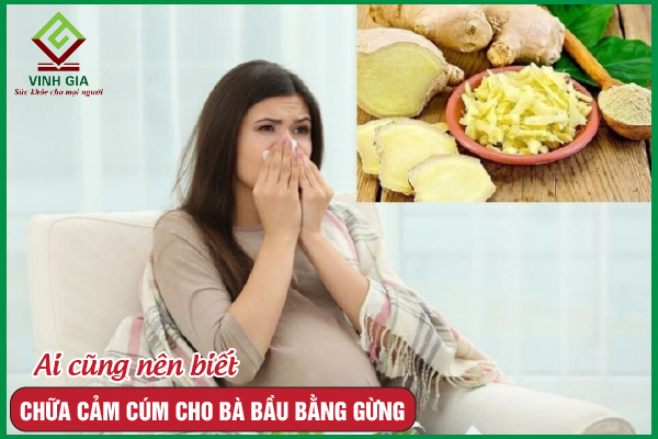 Chữa cảm cúm cho bà bầu bằng gừng rất hiệu quả