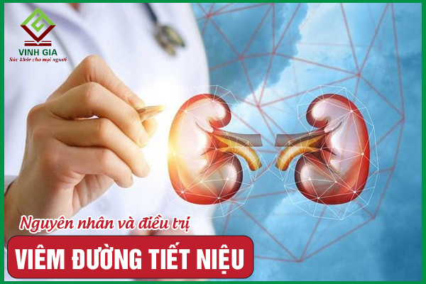 Viêm đường tiết niệu: Nguyên nhân, triệu chứng và điều trị