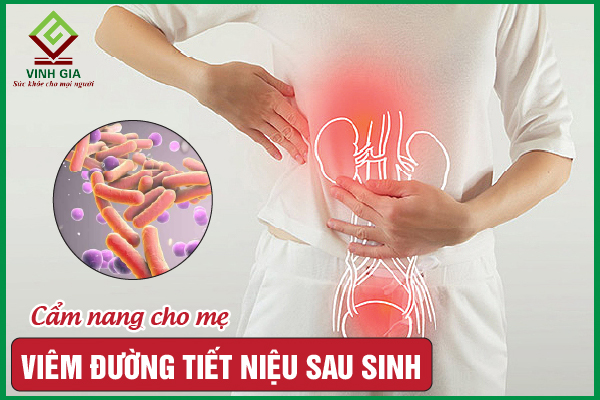 Viêm đường tiết niệu sau sinh: Nguyên nhân và điều trị