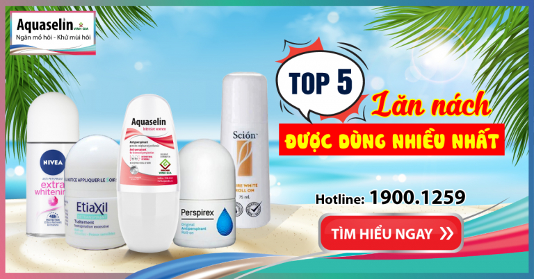 TOP 5 LĂN NÁCH ĐƯỢC DÙNG NHIỀU NHẤT NĂM