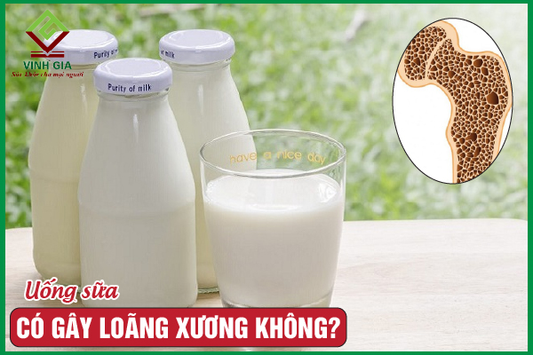 Thắc mắc liệu uống sữa gây loãng xương hay không?