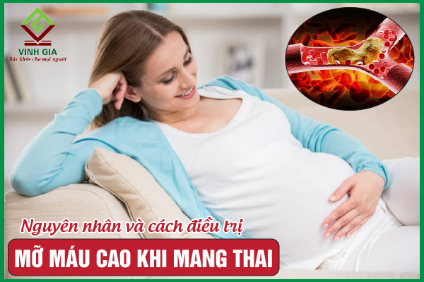 Mỡ máu cao khi mang thai có đáng lo ngại hay không?