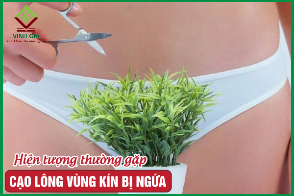 Cạo lông vùng kín bị ngứa cần được xử lý như thế nào?