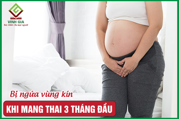 Ngứa vùng kín khi mang thai 3 tháng đầu phải làm sao?
