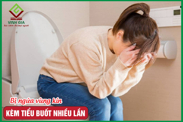 Ngứa vùng kín và đi tiểu buốt nhiều lần có nguy hiểm không?