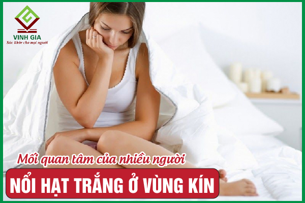 Nổi hạt trắng ở vùng kín là bệnh gì? Cách điều trị như thế nào?