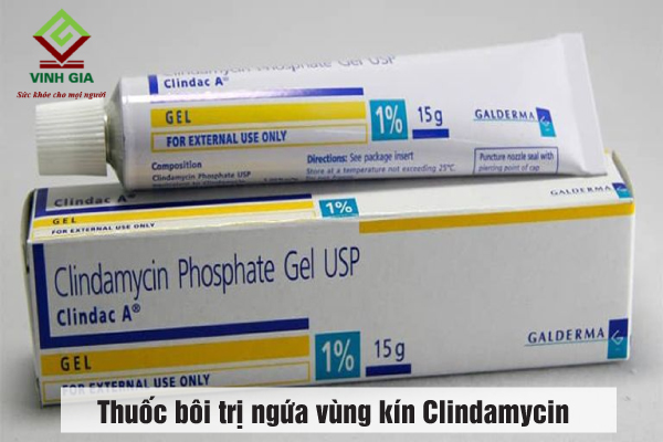 Thuốc bôi trị ngứa vùng kín Clindamycin Thuốc bôi trị ngứa vùng kín Clindamycin