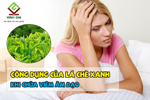 Công dụng của lá chè xanh khi chữa viêm âm đạo