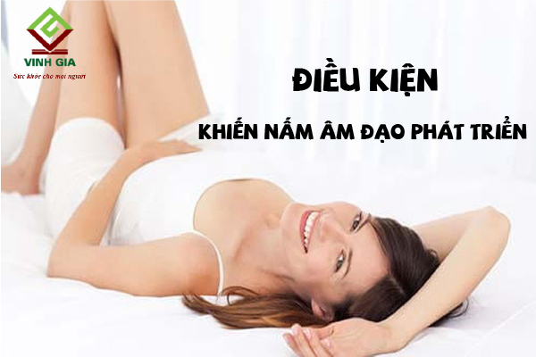 Điều kiện làm cho nấm âm đạo phát triển nhanh chóng Điều kiện làm cho nấm âm đạo phát triển nhanh chóng