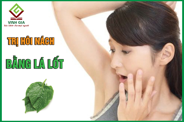 Cách giảm mùi hôi nách bằng lá lốt sao cho hiệu quả?
