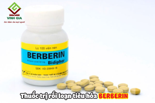 Berberin thuốc trị bệnh rối loạn tiêu hóa được chiết xuất từ thiên nhiên rất an toàn hiệu quả