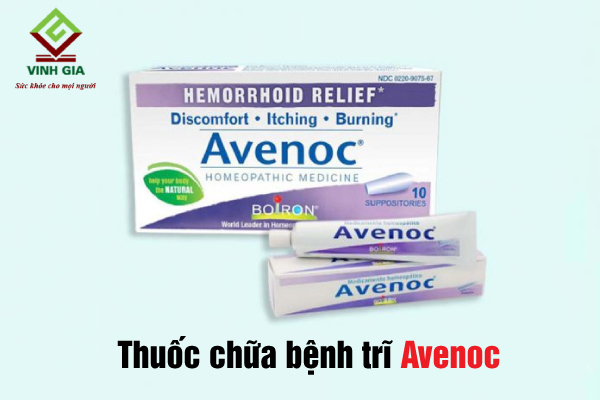 Bị đau trĩ nên dùng thuốc Avenoc