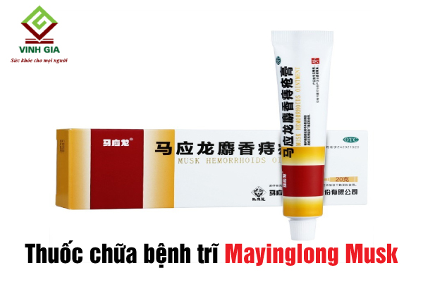 Thuốc bôi Mayinglong Musk giúp co búi trĩ nhanh chóng Thuốc bôi Mayinglong Musk giúp co búi trĩ nhanh chóng