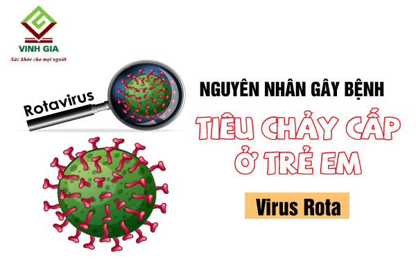 Virus Rota là nguyên nhân phổ biến nhất gây bệnh tiêu chảy cấp ở trẻ nhỏ