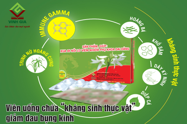 Đau bụng kinh do bệnh lý phụ khoa hãy sử dụng viên uống chứa trinh nữ hoàng cung, diếp cá Đau bụng kinh do bệnh lý phụ khoa hãy sử dụng viên uống chứa trinh nữ hoàng cung, diếp cá