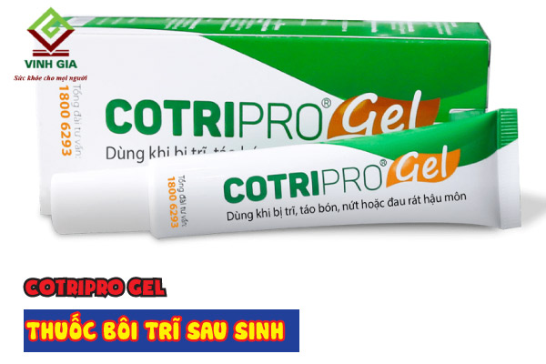 Thuốc bôi trĩ Cotripro Gel cho phụ nữ sau sinh giúp chống viêm, diệt khuẩn và ngăn ngừa bội nhiễm cho búi trĩ Thuốc bôi trĩ Cotripro Gel cho phụ nữ sau sinh giúp chống viêm, diệt khuẩn và ngăn ngừa bội nhiễm cho búi trĩ