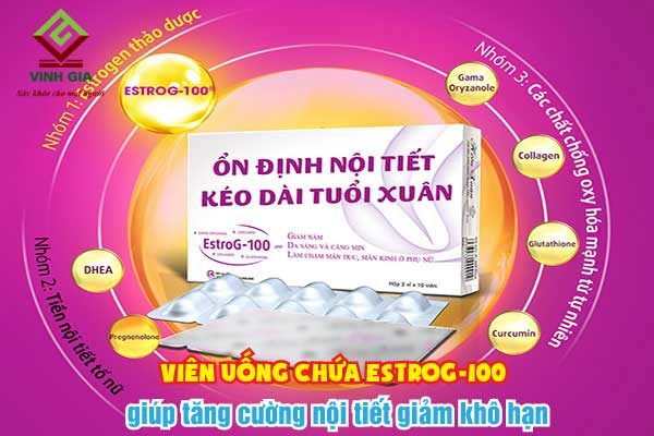 Viên uống chứa Estrog-100 giúp tăng cường nội tiết giảm khô hạn hiệu quả cho phụ nữ Viên uống chứa Estrog-100 giúp tăng cường nội tiết giảm khô hạn hiệu quả cho phụ nữ
