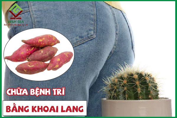 Mẹo đẩy lùi bệnh trĩ bằng khoai lang như thế nào?