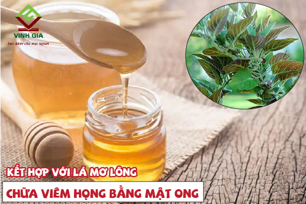 Chữa viêm họng bằng mật ong và lá mơ lông