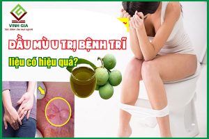 Dầu mù u chữa bệnh trĩ có hiệu quả không, cần lưu ý những gì?