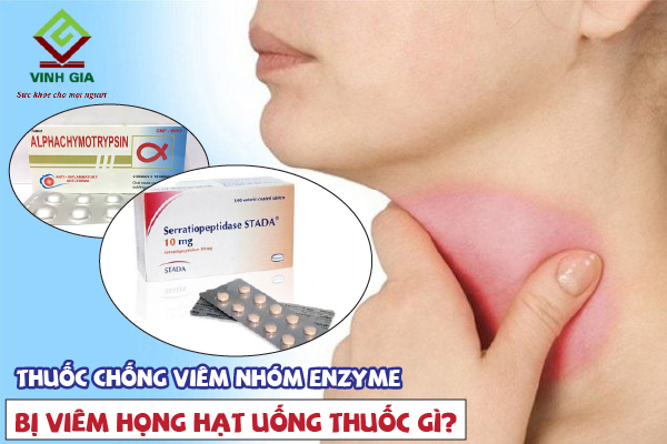 Thuốc chống viêm họng hạt nhóm Enzyme Thuốc chống viêm họng hạt nhóm Enzyme