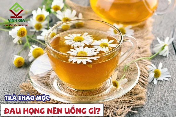 Uống trà thảo mộc cực kỳ tốt hỗ trợ khắc phục viêm họng đau họng