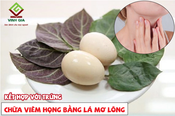 Cách chữa viêm họng bằng lá mơ với trứng