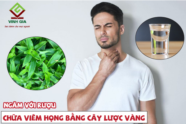 Cây lược vàng ngâm rượu trị viêm họng rất tốt