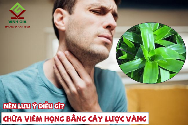 Chữa viêm họng bằng cây lược vàng cần lưu ý những gì?