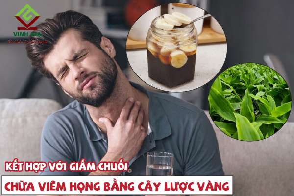 Chữa viêm họng bằng cây lược vàng cùng giấm chuối