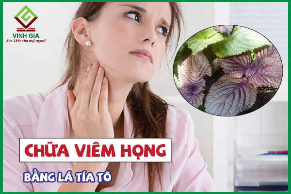 8 Cách chữa viêm họng bằng lá tía tô hiệu quả tại nhà