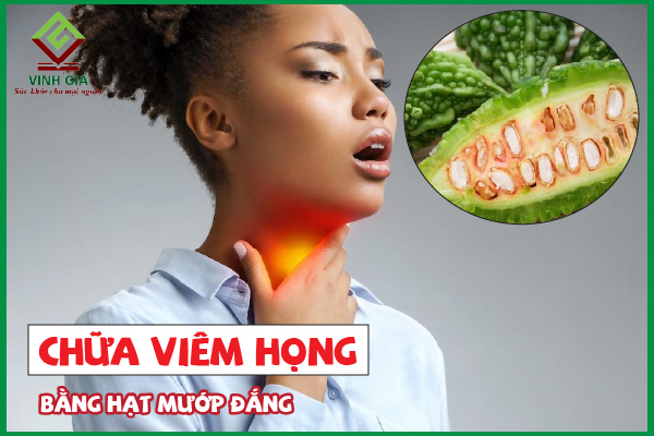 Hạt mướp đắng chữa viêm họng vừa an toàn lại hiệu quả