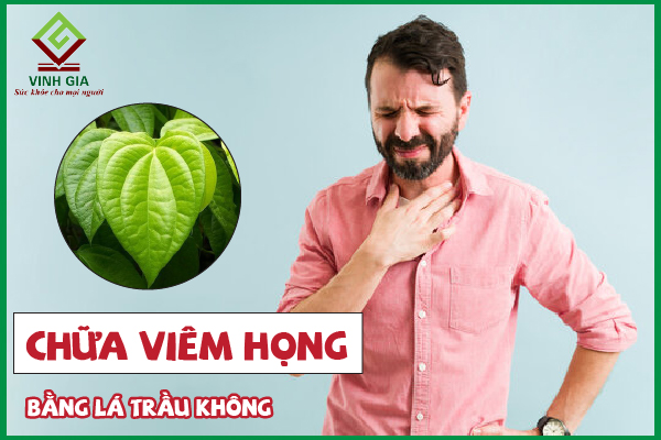 8 Cách chữa viêm họng bằng lá trầu không hiệu quả