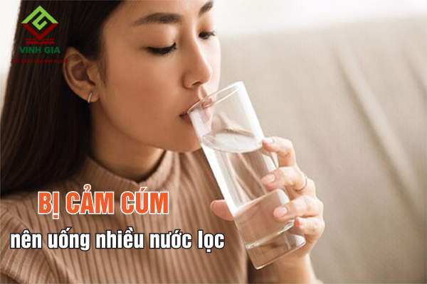 Bên cạnh nước dừa, người bị cảm cúm vẫn nên uống nhiều nước lọc