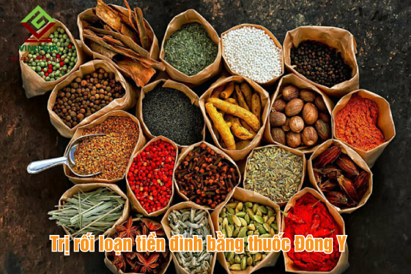 Các bài thuốc Đông y trị bệnh rối loạn tiền đình Các bài thuốc Đông y trị bệnh rối loạn tiền đình