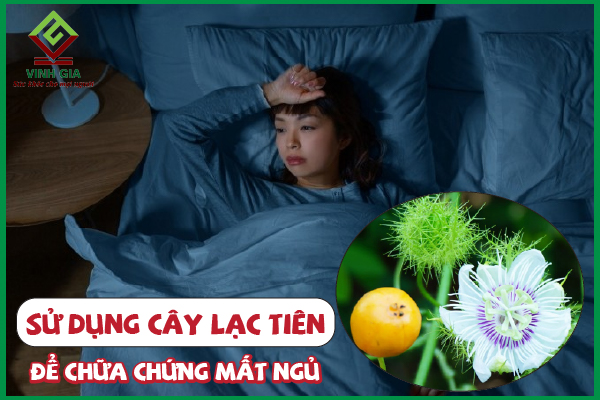 5 Cách dùng cây lạc tiên cải thiện mất ngủ đơn giản hiệu quả
