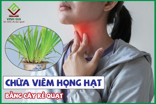 Cách sử dụng cây rẻ quạt chữa viêm họng hạt tốt nhất