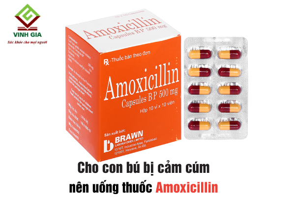 Đang cho con bú bị cảm cúm nên uống thuốc Amoxicillin