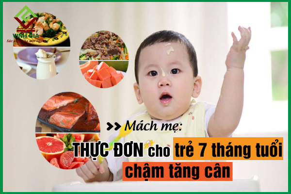 Mách mẹ lên thực đơn cho trẻ 7 tháng chậm tăng cân