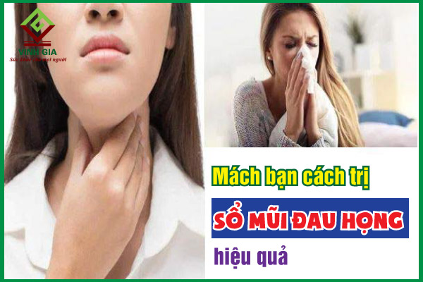 Mách bạn cách trị sổ mũi đau họng hiệu quả