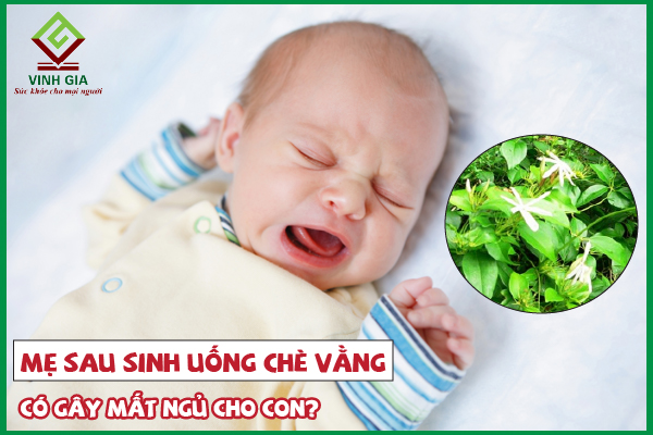 [CẨM NANG] Mẹ uống chè vằng con có bị mất ngủ không?