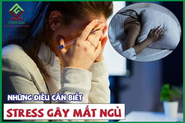 Stress gây mất ngủ: Nguyên nhân, hậu quả và cách giải quyết