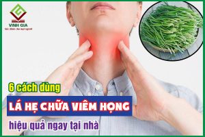 6 cách dùng lá hẹ chữa viêm họng đơn giản tại nhà