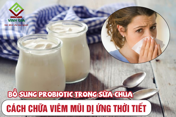 Bổ sung Probiotic trong sữa chua để cải thiện viêm mũi dị ứng thời tiết