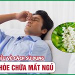 [CẨM NANG] Cải thiện mất ngủ bằng hoa hòe hiệu quả
