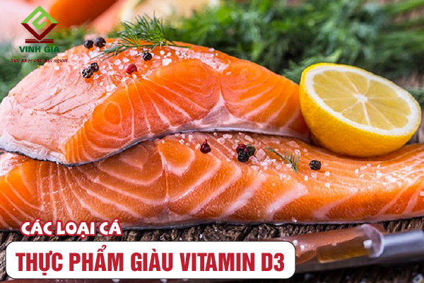 Vitamin D3 có trong thực phẩm là các loại cá
