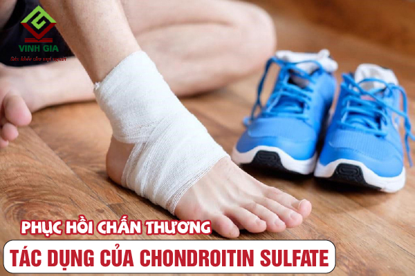 Chondroitin sulfate giúp phục hồi chấn thương do chơi thể thao Chondroitin sulfate giúp phục hồi chấn thương do chơi thể thao