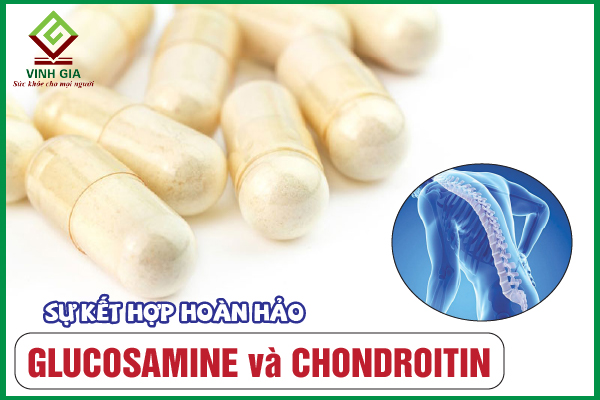 Glucosamine và Chondroitin: Công dụng, liều dùng phù hợp